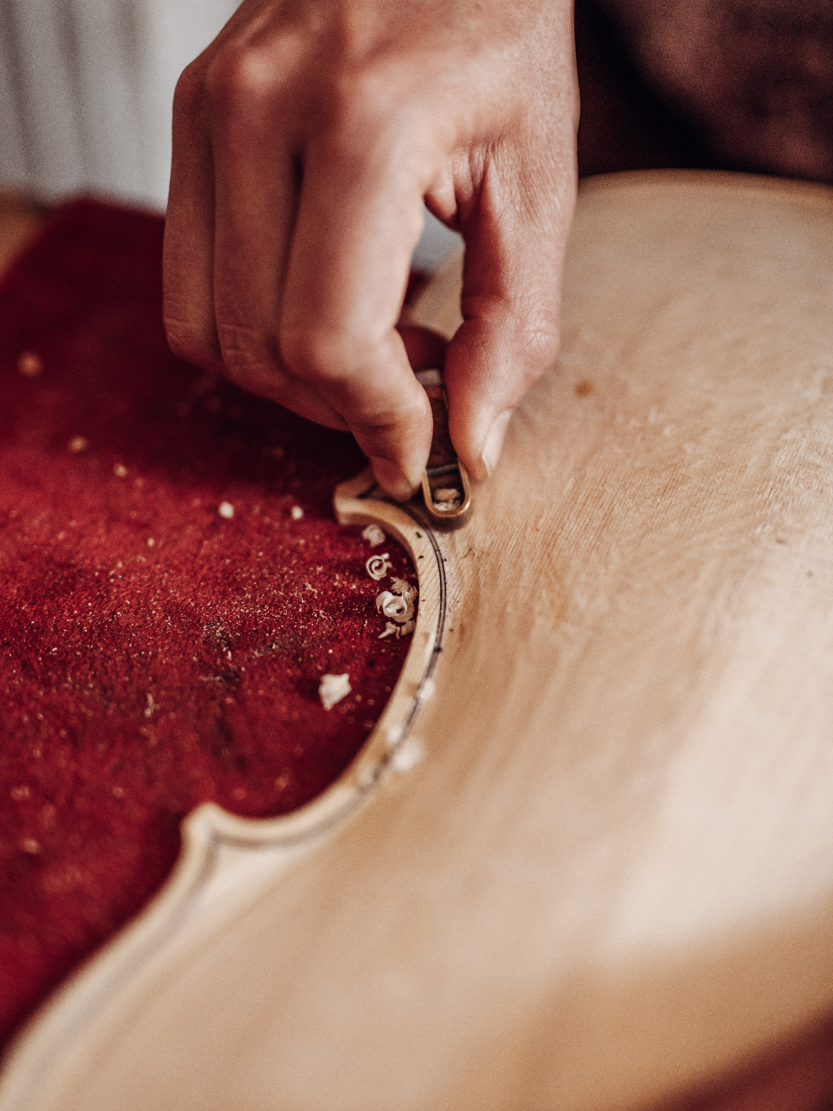 1ffdf42c-e2a9-4e6b-aa6a-dd2bbf23c916 2